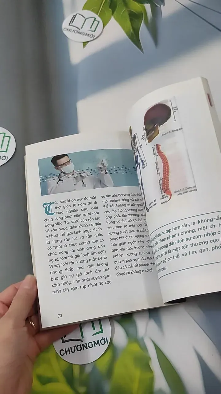 60 Ngày Học Bí Quyết Phục Hồi Bệnh Đau Đốt Sống Cổ, Khớp Gối Và Thắt Lưng - Nguyễn Thị Vân Anh 780810