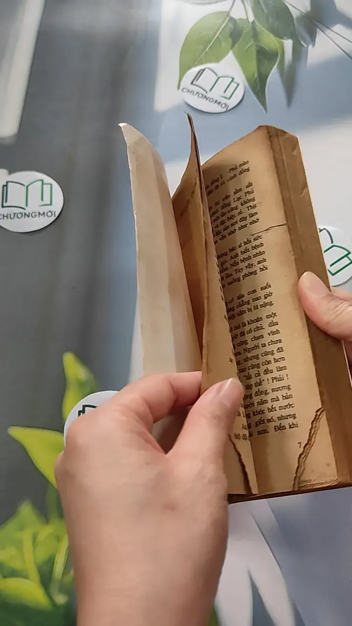 [XƯA] Người Trong Ống (1990) - Vi Hồng 776053