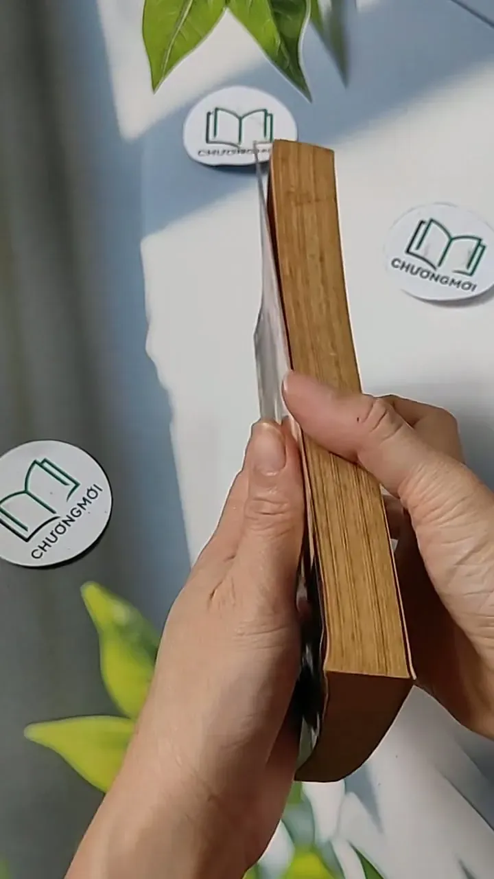 Sense and Sensibility - Jane Austen 703084