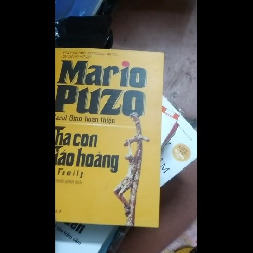 Cha con giáo hoàng
