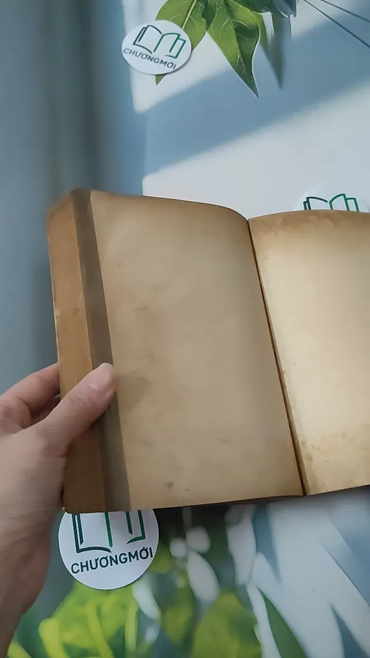 [MIỄN PHÍ BỌC SÁCH] [XƯA] Vidal Giúp Trí Nhớ 1998 (1998) 780787