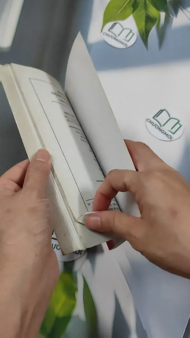 Phong Tục Dựng Vợ Gả Chồng - Như Hùng 776135