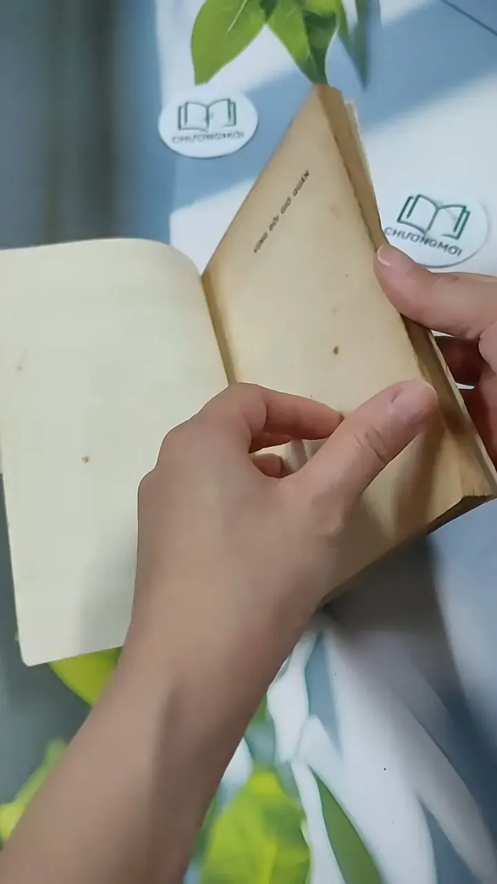 Vùng Đồi Gió Quẩn - Sa Phong Ba 713834