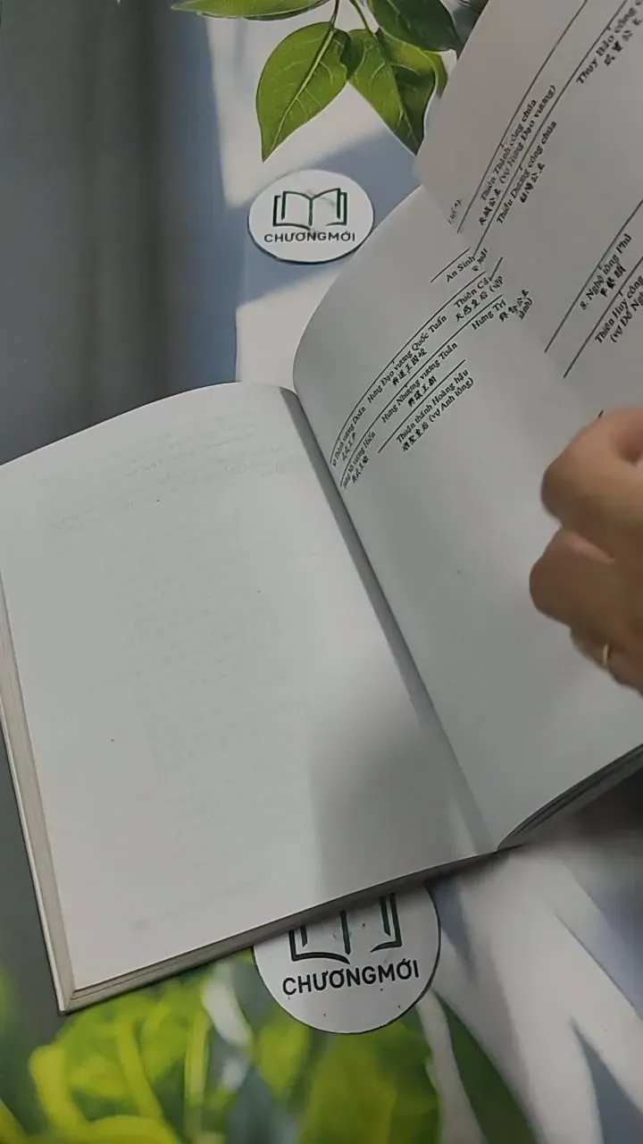 Việt Nam Sử Lược 715609