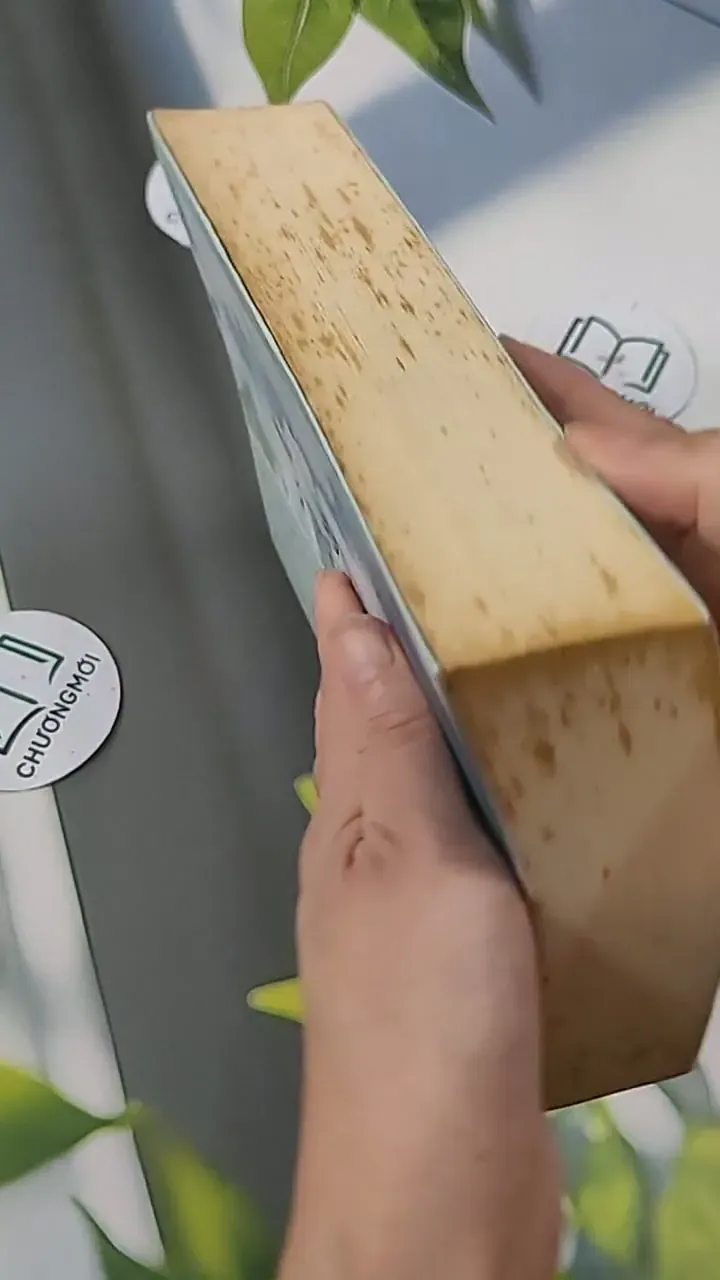 Ai Còn Chờ Ai Giữa Mùa Hoa Nở - Sói Xám Mọc Cánh 705627