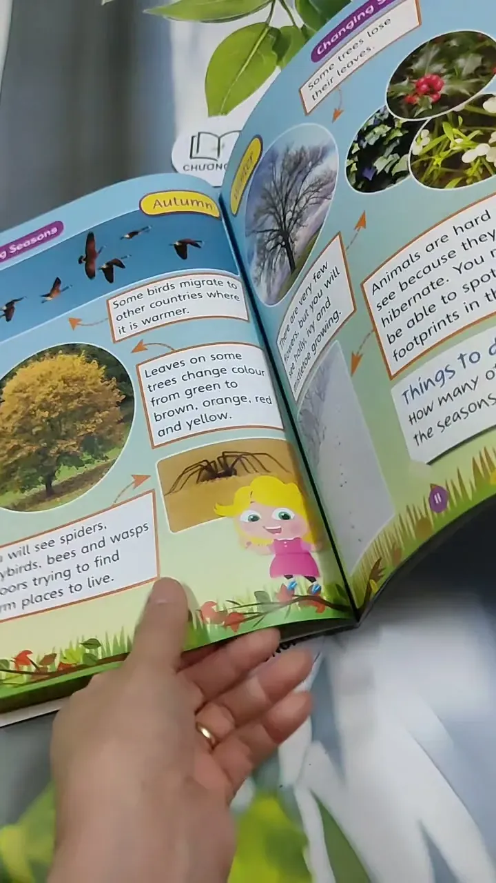 Science Bug Pupil Book Year 159 713904