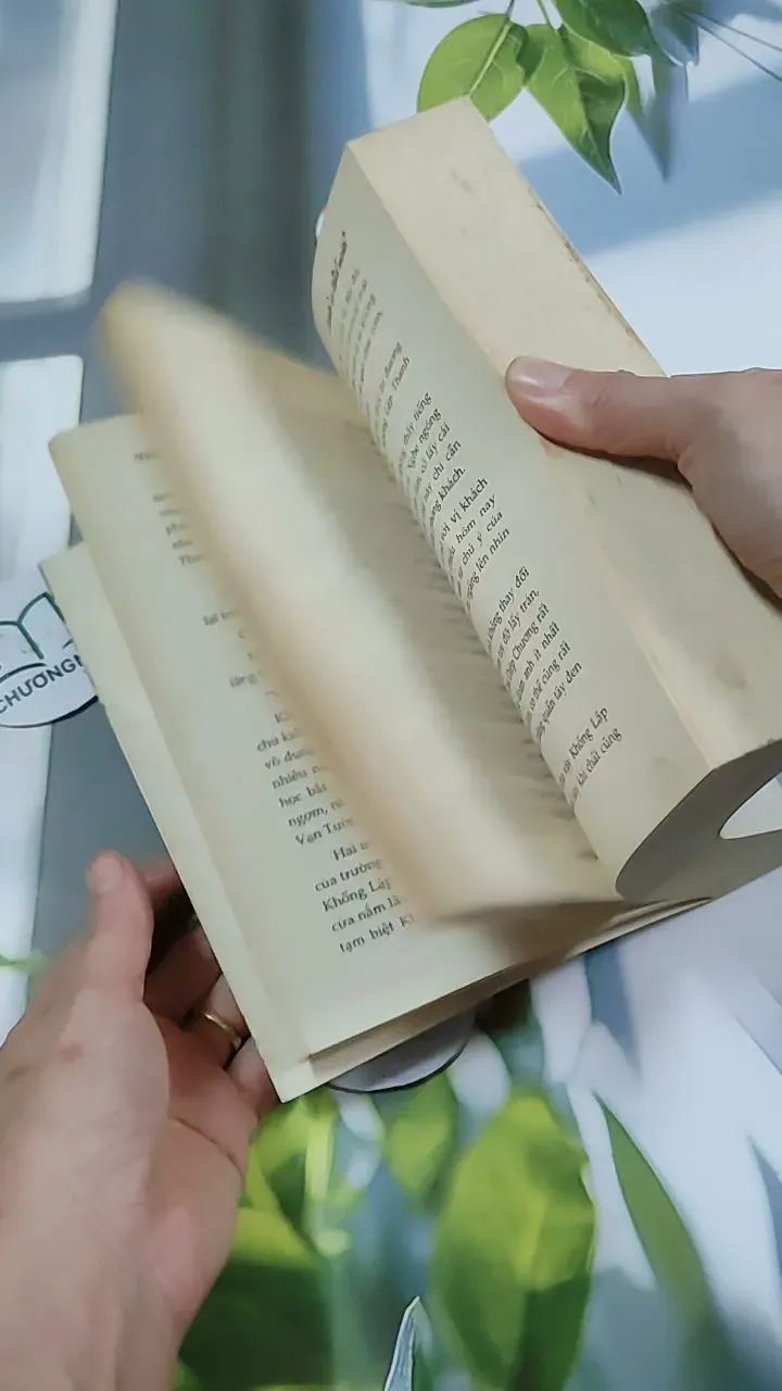 Bánh Xe Định Mệnh - Nhiễu Lương Tam Nhật 744734