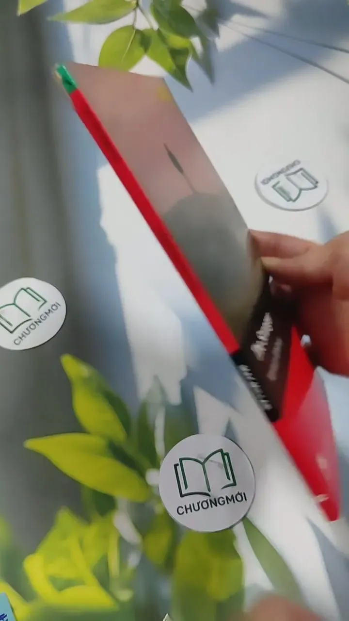 The Stranger - Norman Whitney 707313