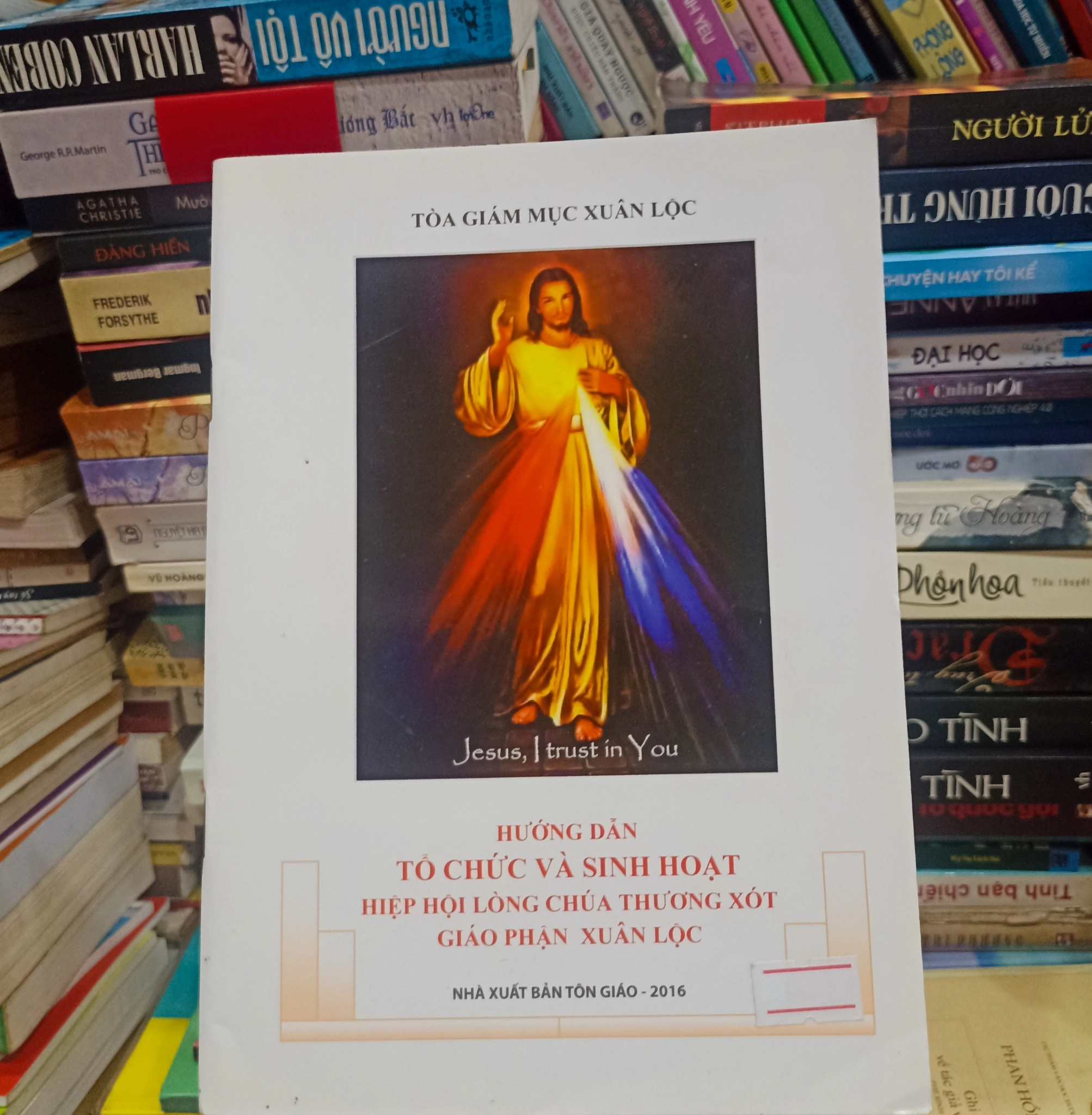 Hướng Dẫn Tổ Chức Và Sinh Hoạt Hiệp Hội Lòng Chúa Thương Xót 🌻 by  - Sách Book Cover - Ngọc Hiển Books