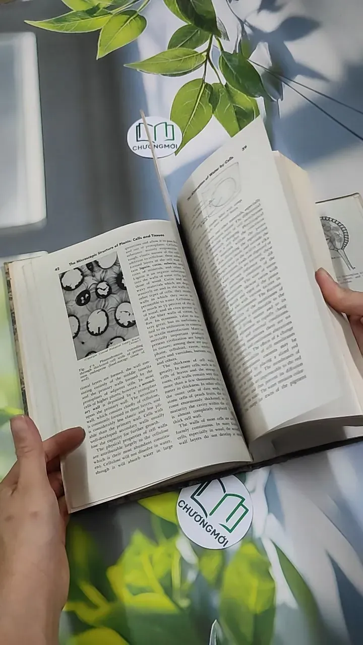 [MIỄN PHÍ BỌC SÁCH] The Plant World - Harry J. Fuller 750801