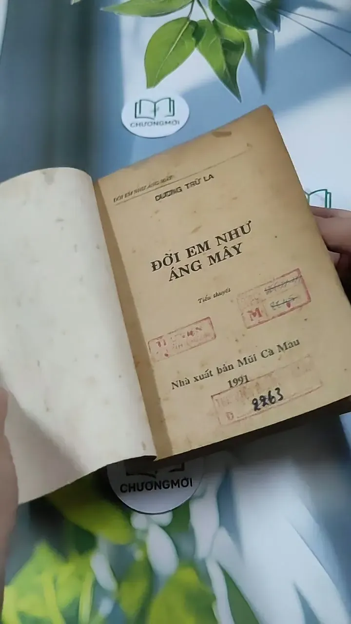 Đời Em Như Áng Mây - Dương Trữ La 713863