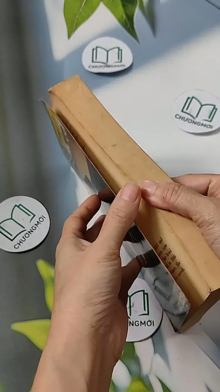 [MIỄN PHÍ BỌC SÁCH] A Proper Marriage - Doris Lessing 703107