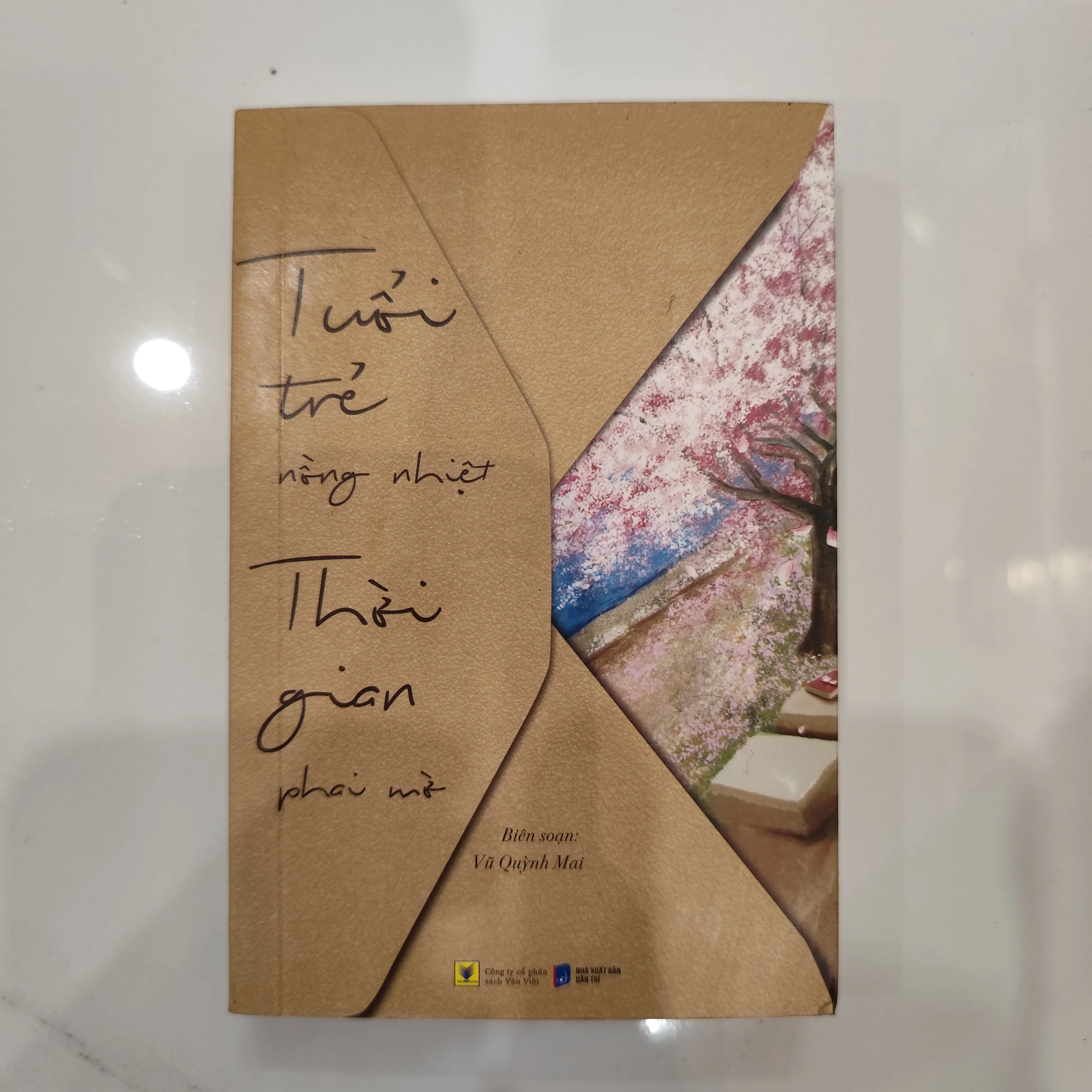 Tuổi trẻ nồng nhiệt thời gian phai mờ by  - Sách Book Cover - Ngọc Hiển Books