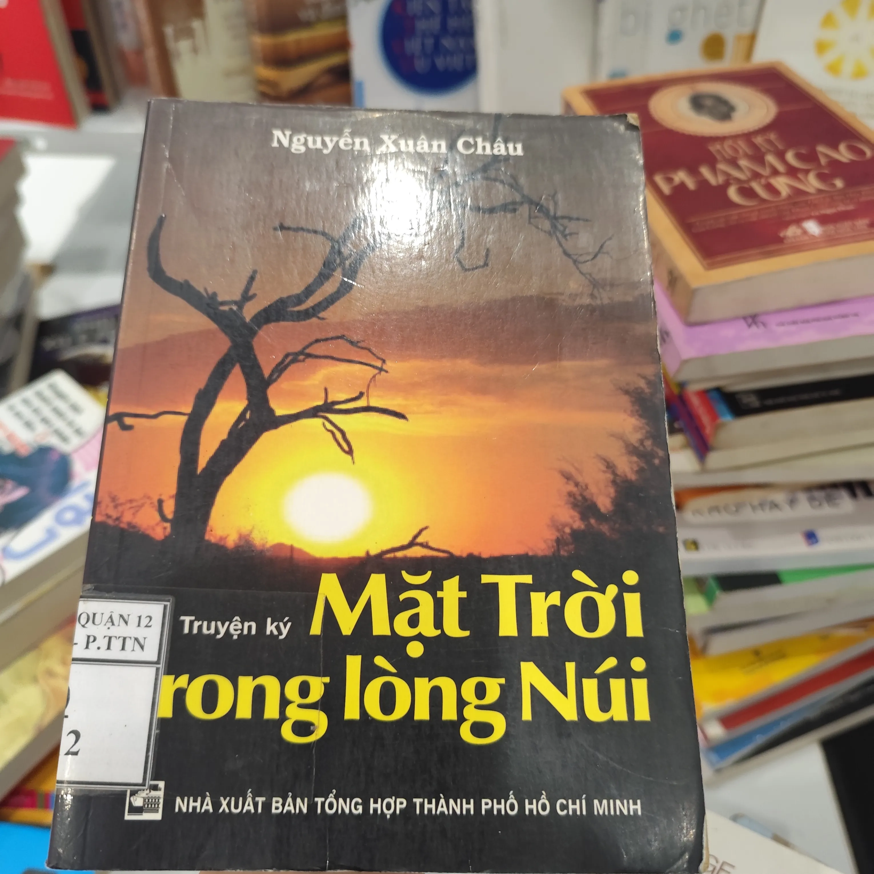 Truyện Ký Mặt Trời trong lòng núi by  - Sách Book Cover - Ngọc Hiển Books