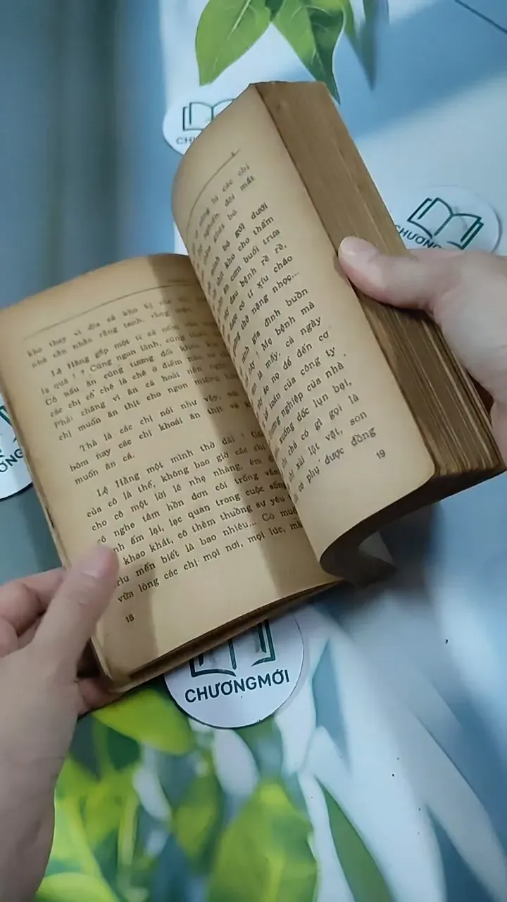 Tỳ Vết Tình Yêu - Thanh Lan 713847