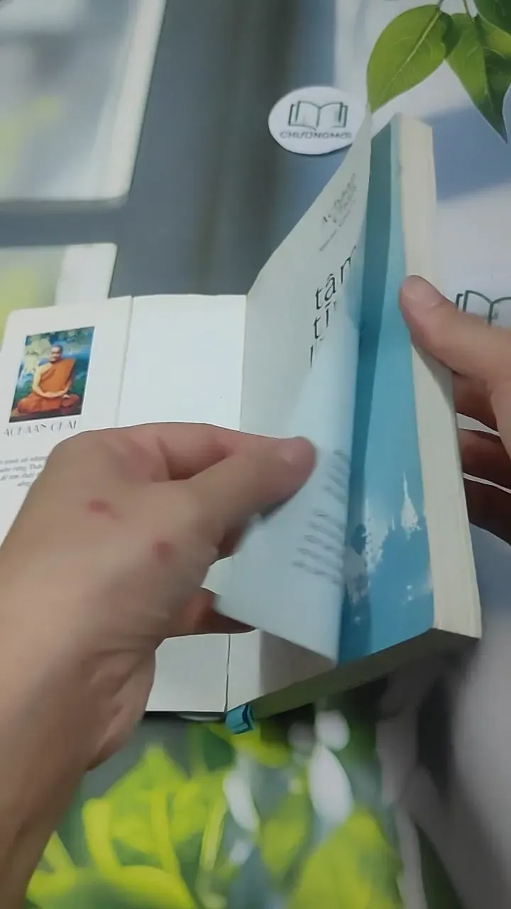 Tâm Tĩnh Lặng - Achaan Chah 727369