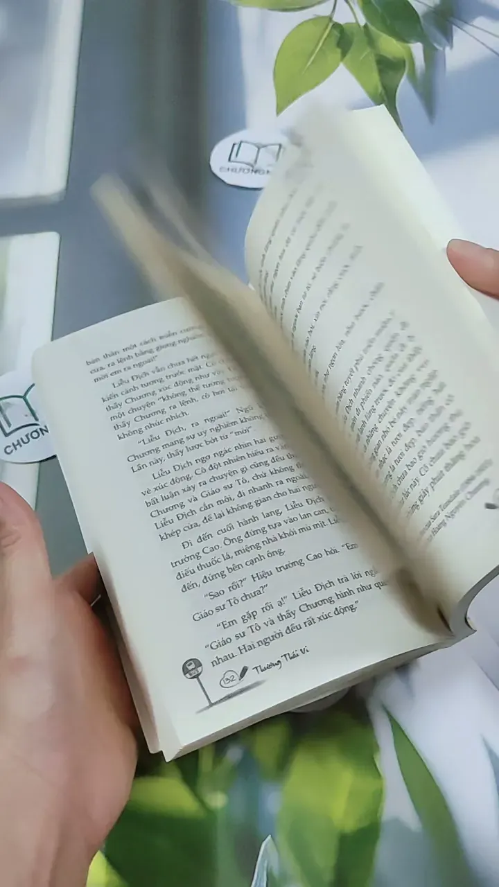 Bến Xe - Thương Thái Vi 744709