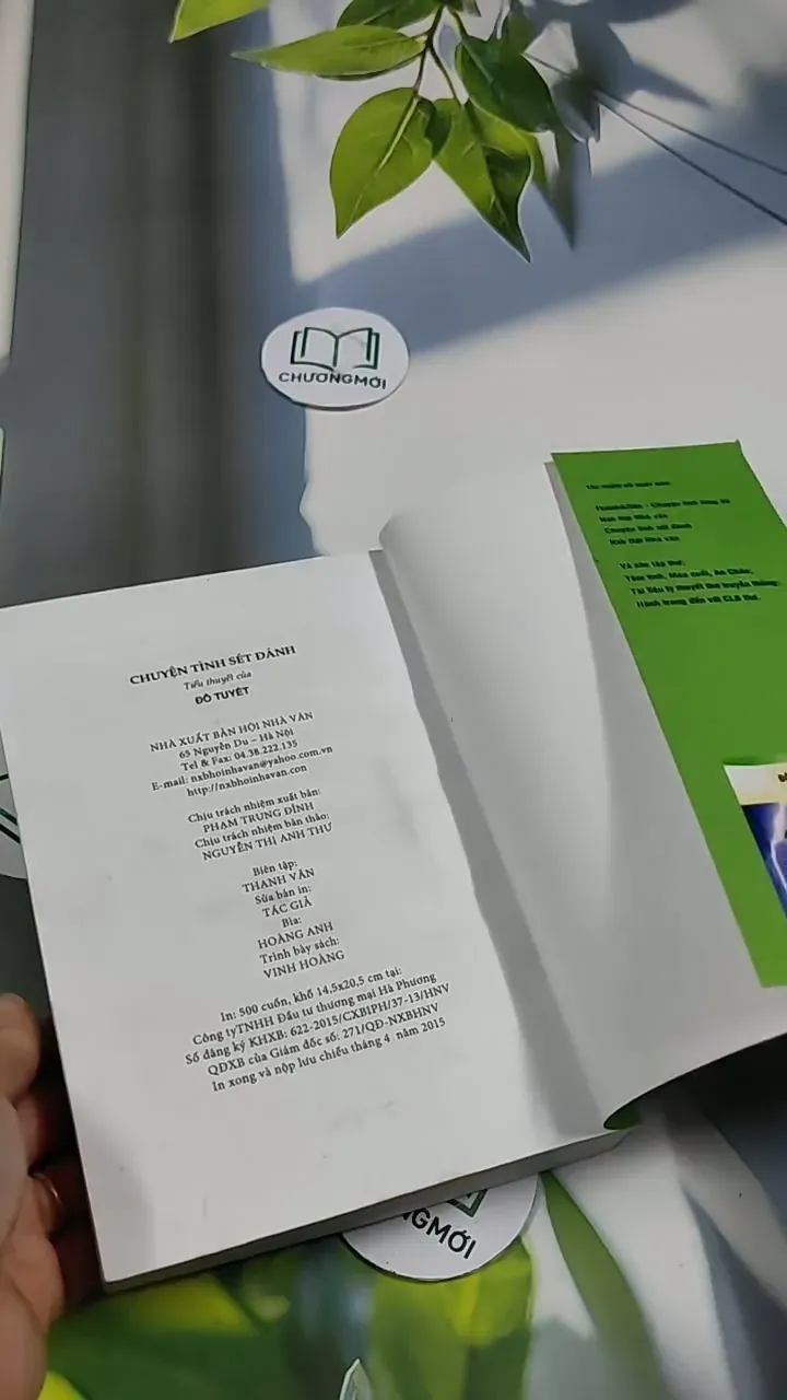 Chuyện Tình Sét Đánh - Đỗ Tuyết 705741