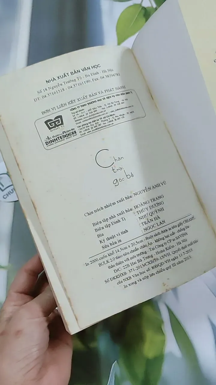Chân Trời Góc Bể - Diệp Lạc Vô Tâm 744743
