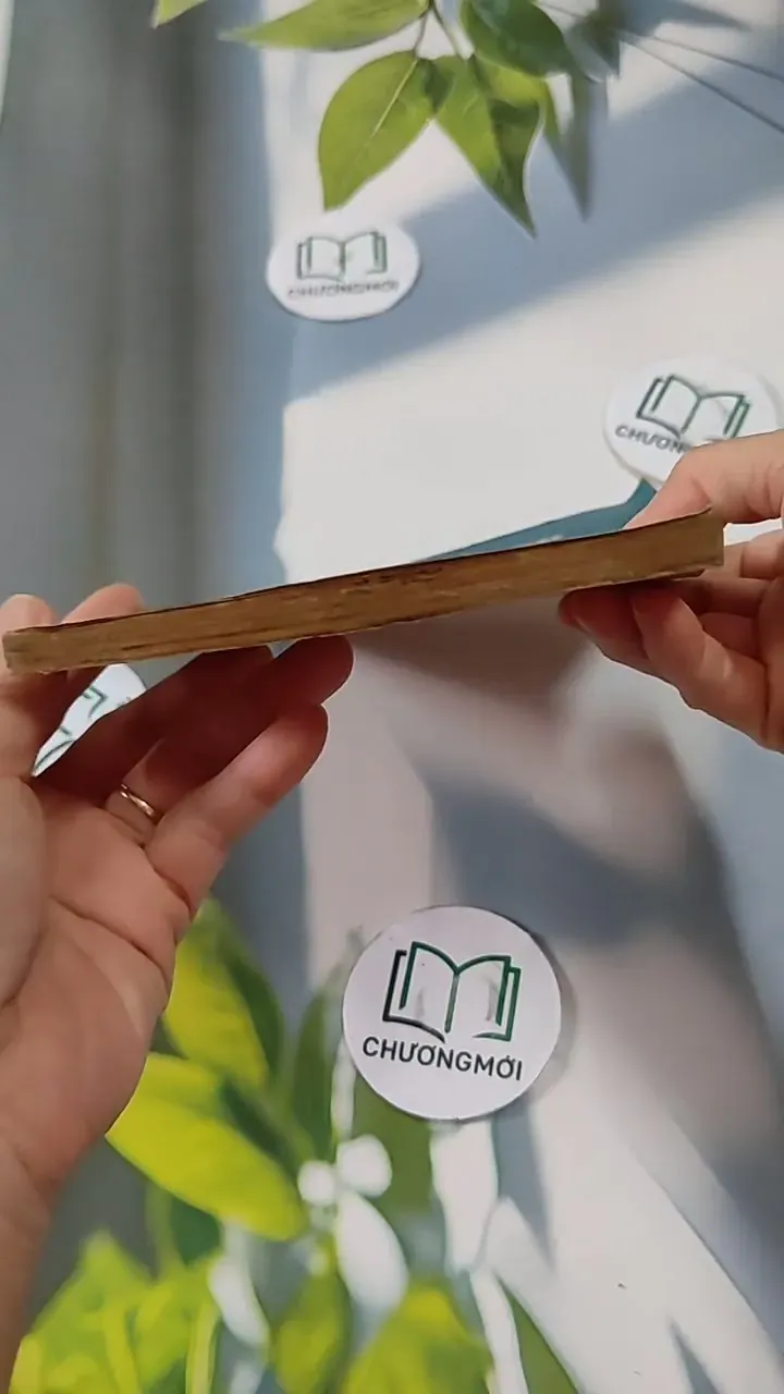 Hồi Nhỏ Các Nhà Văn Học Văn 713828