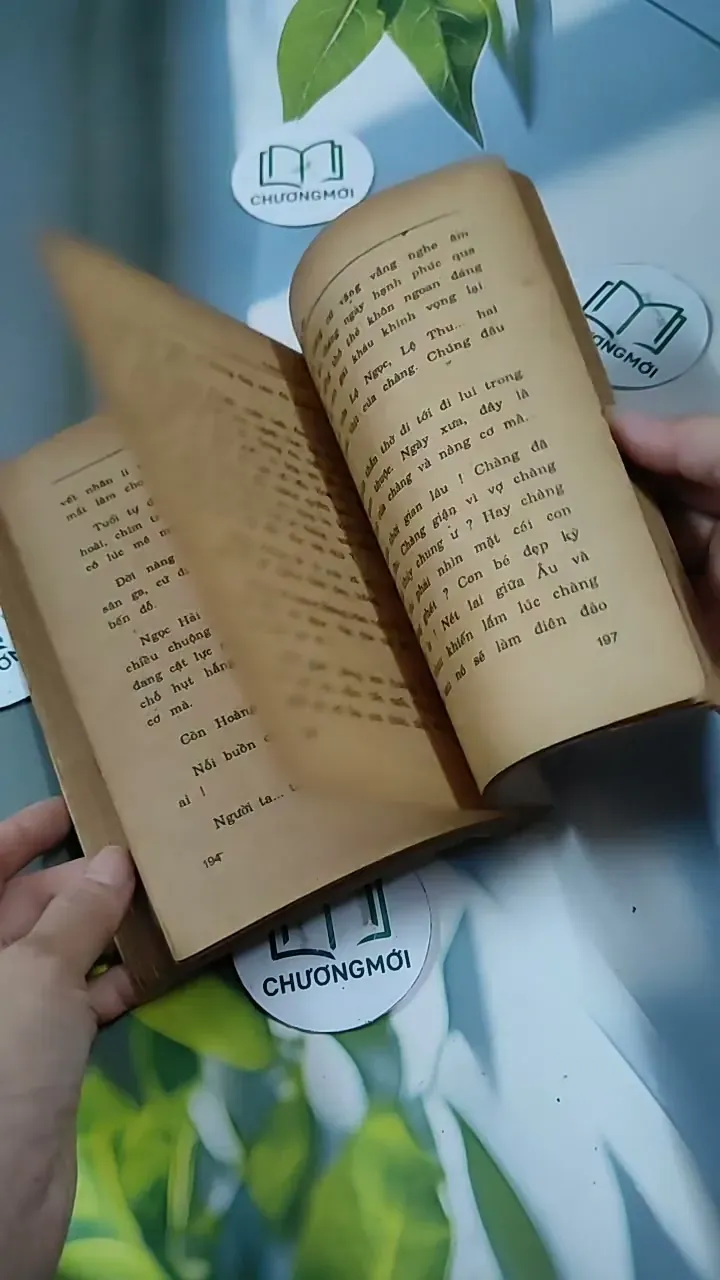 Tỳ Vết Tình Yêu - Thanh Lan 713847