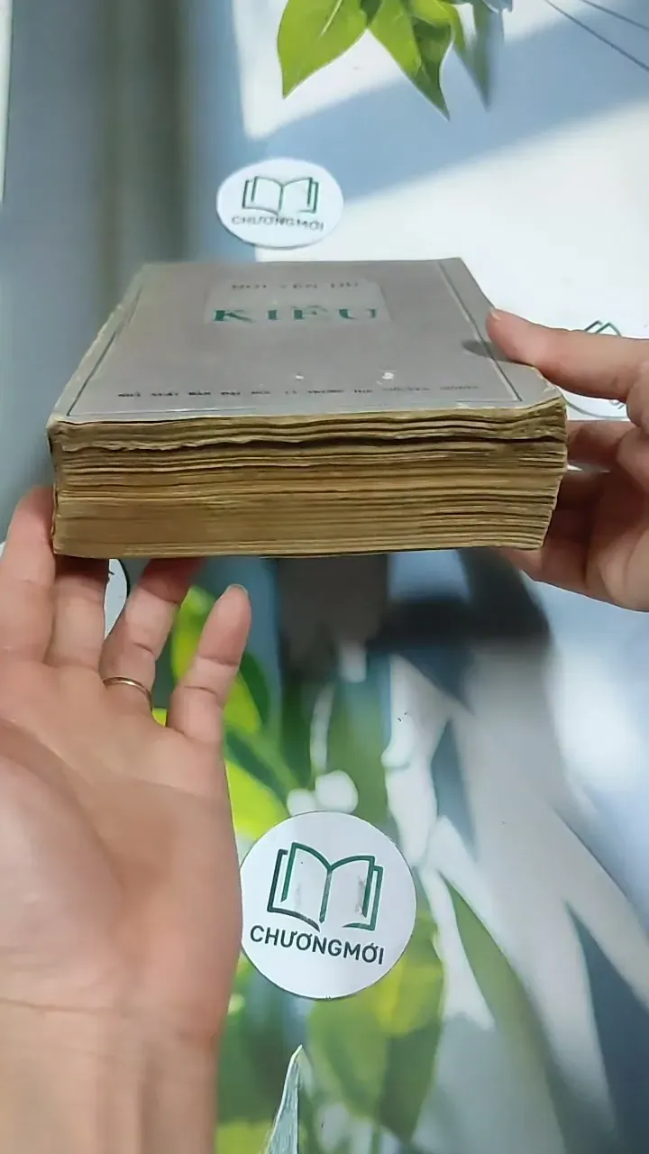 [MIỄN PHÍ BỌC SÁCH] Truyện Kiều - Nguyễn Du 705782