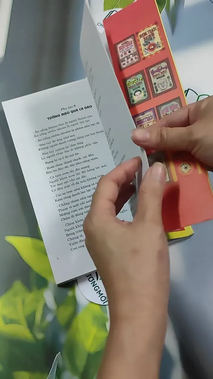 Xem Nhanh Tướng Mệnh Nam - Trần Đỉnh Long 776245