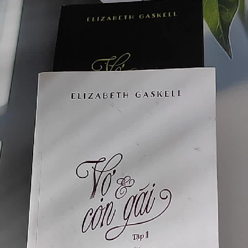 [MIỄN PHÍ BỌC SÁCH] Vợ và con gái ( Tập 1 + 2) (2016) - Elizabeth Gaskell