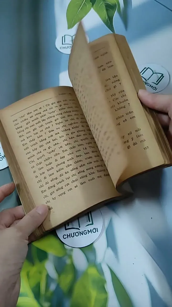 Tỳ Vết Tình Yêu - Thanh Lan 713847