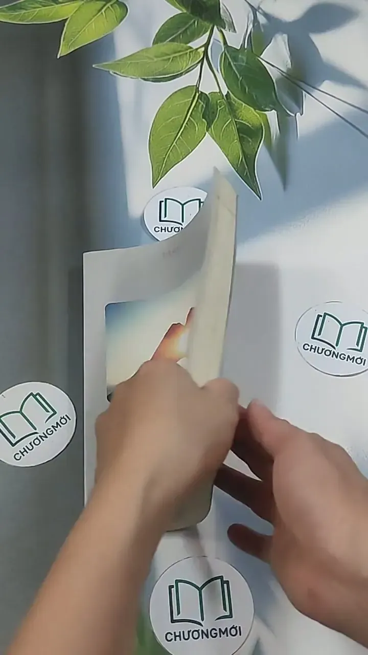 Trái tim em luôn hướng về anh - Diệp Tử 694937