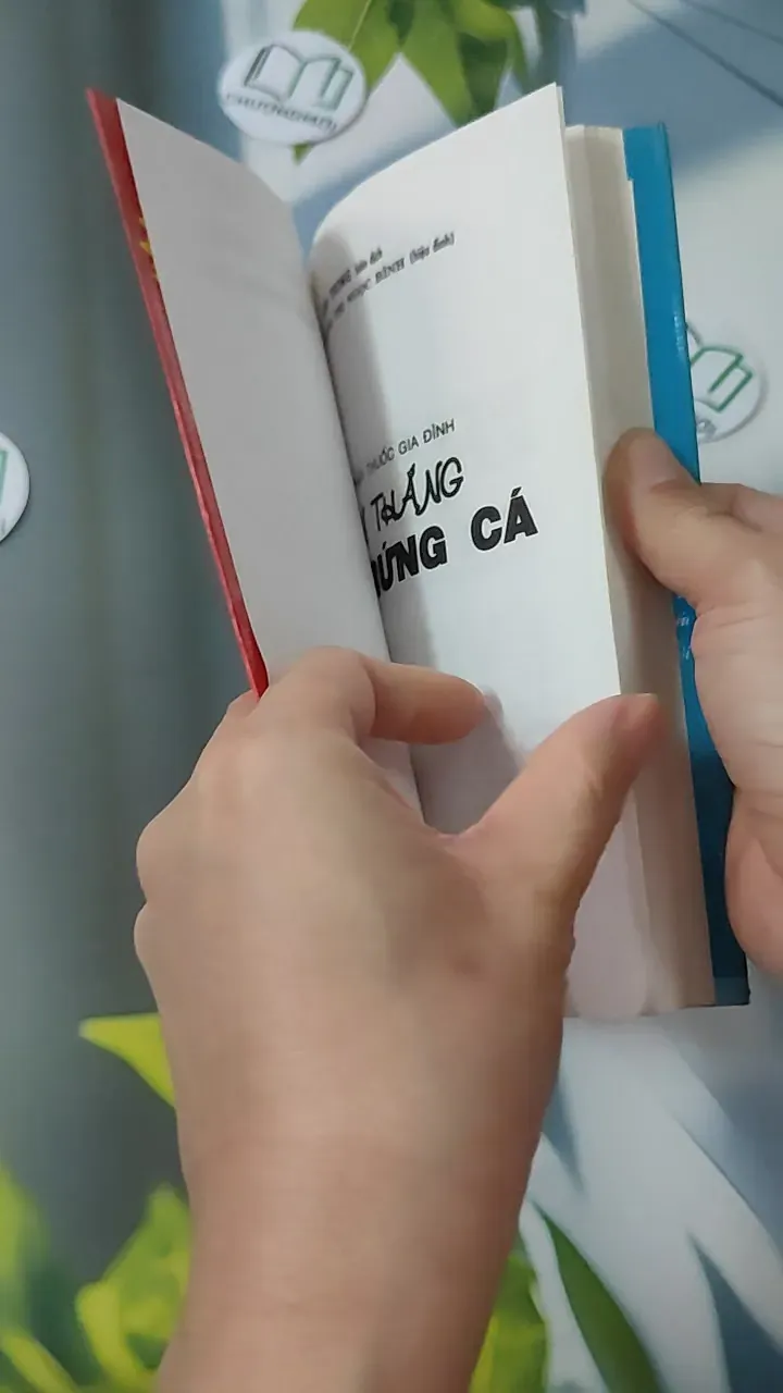 Chiến Thắng Mụn Trứng Cá - Kim Trọng 780823