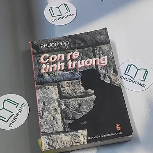 Con rể tỉnh trưởng - Phương Vỹ