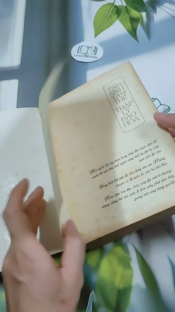 Tam Sinh Tam Thế Thập Lý Đào Hoa - Đường Thất Công Tử 744729