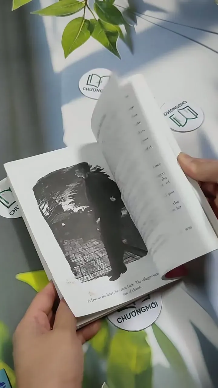 The Stranger - Norman Whitney 707313