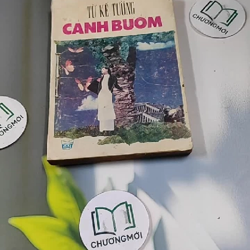 Cánh Bướm - Từ Kế Tường