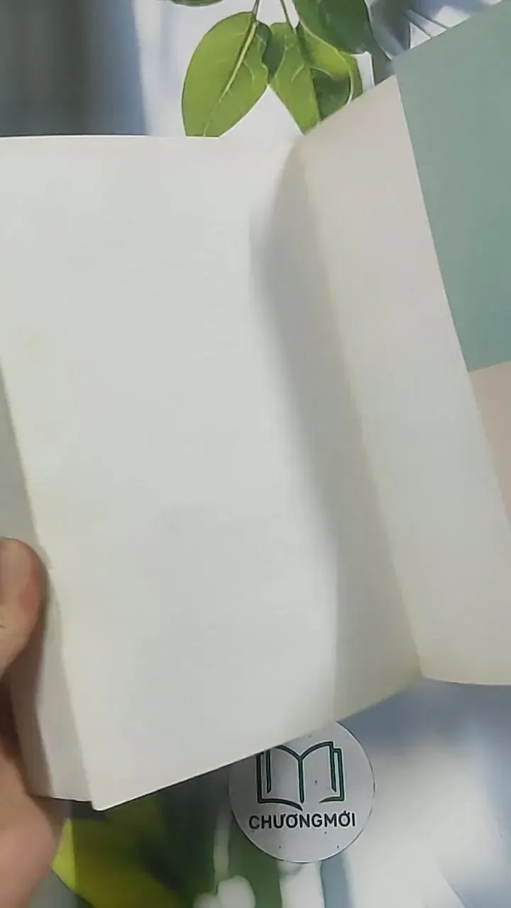 Cô đơn vào đời - Dịch Phấn Hàn 694945