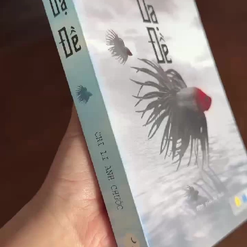 K2-Dạ Đế – Chi Li Anh Chước