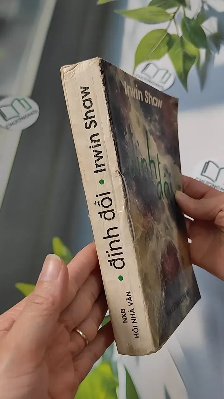 [XƯA] Đỉnh Đồi (1994) - Irwin Shaw 776066