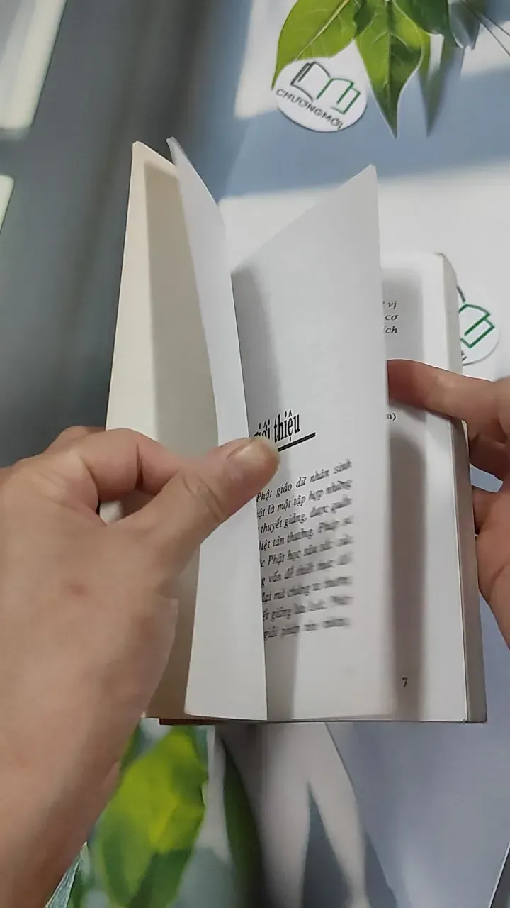 Phật Giáo Với Nhân Sinh - Pháp Sư Tuệ Luật 776151