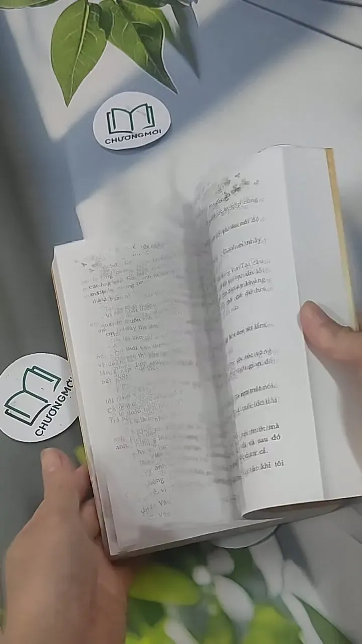 Yêu Không Hối Tiếc - Hàn Như 705549