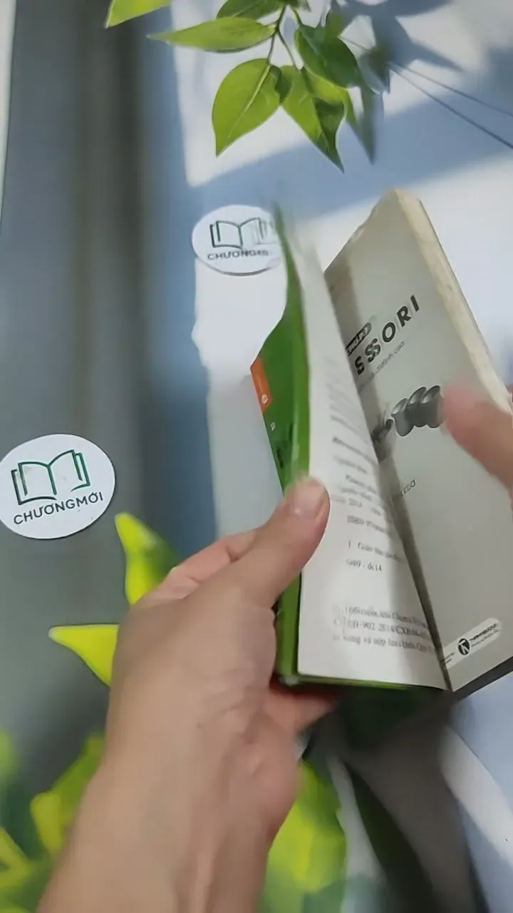 Phương Pháp Montessori - Nghệ Thuật Nuôi Dạy Trẻ Đỉnh Cao 705669