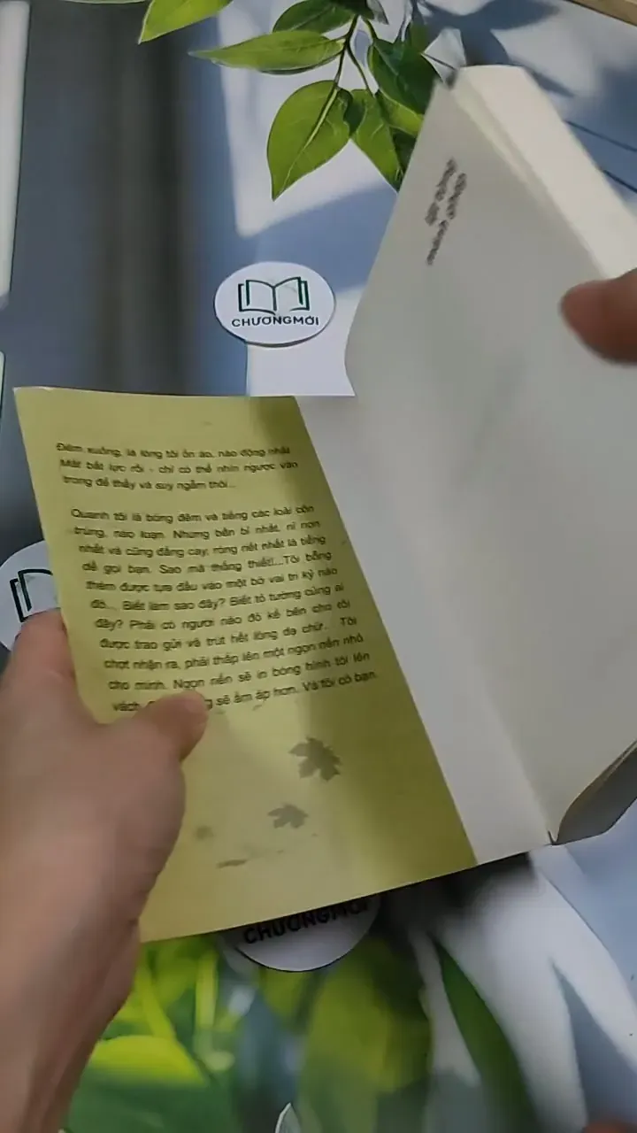 Lật Từng Mảnh Ghép - Trương Tuyết Mai 705691