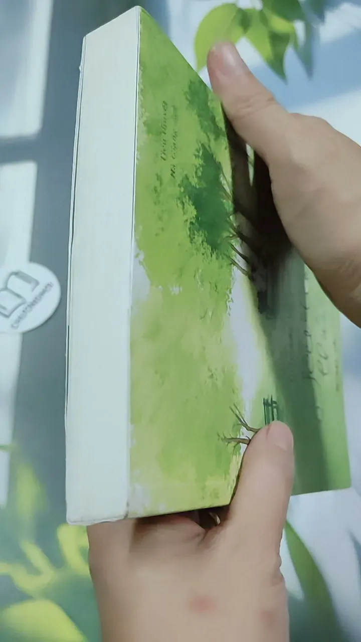 Yêu Là Thế - Diệp Lạc Vô Tâm 744752