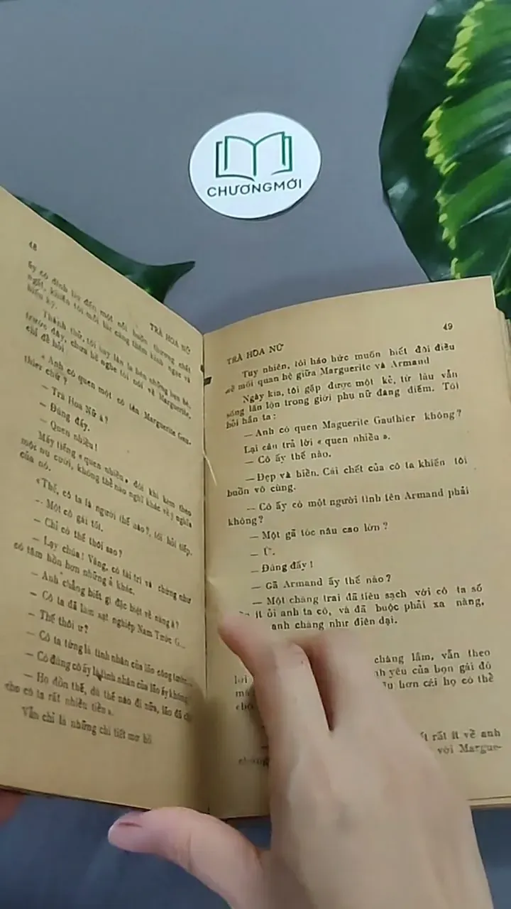 Trà Hoa Nữ 604659