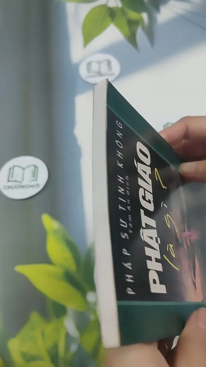 Phật Giáo Là Gì? 715592