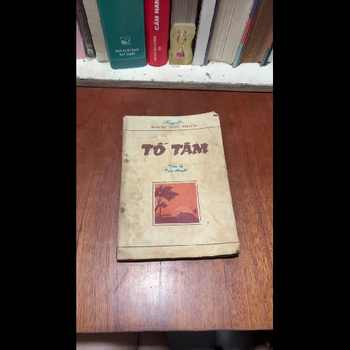 II Tâm Lý Tiểu Thuyết: Tố Tâm - Hoàng Ngọc Phách - 1988