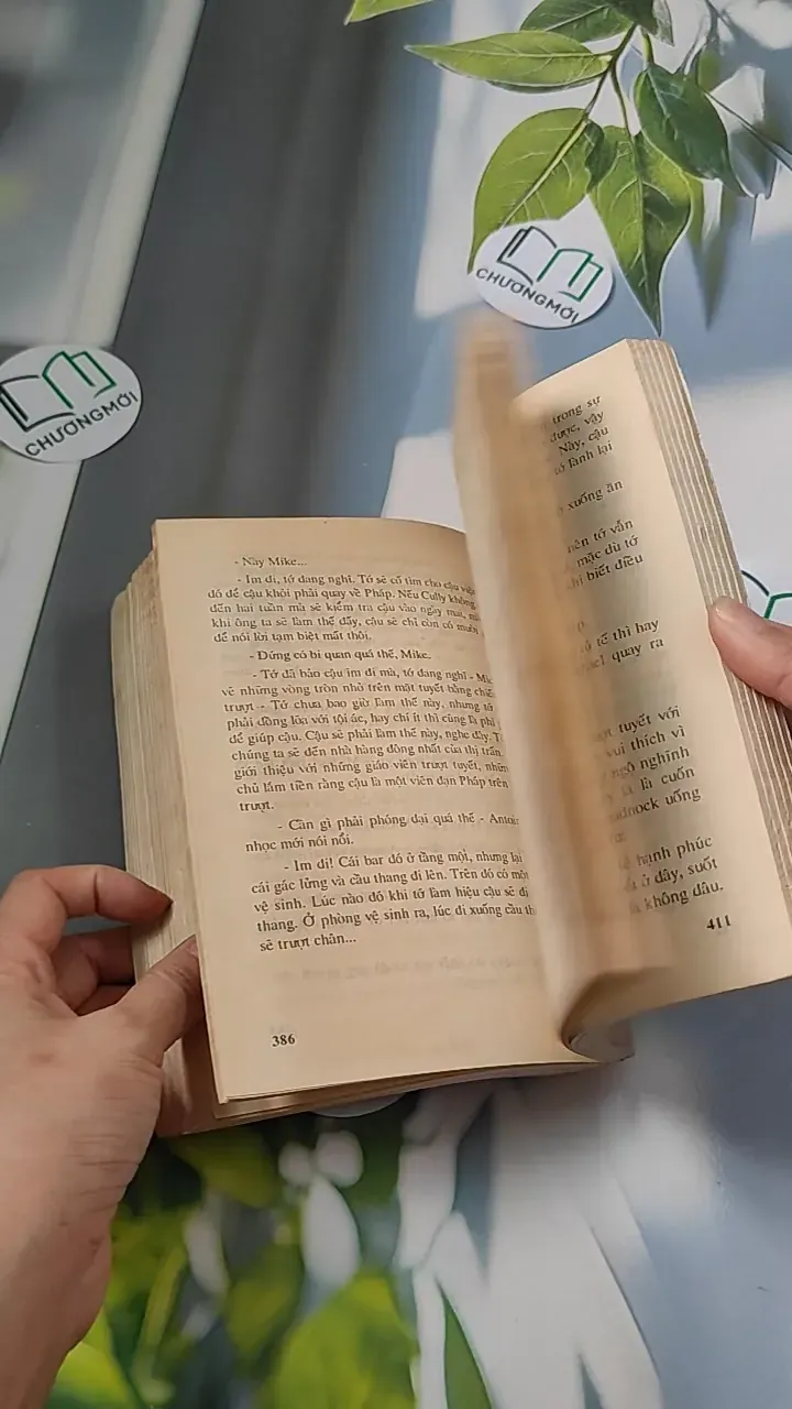 [XƯA] Đỉnh Đồi (1994) - Irwin Shaw 776066