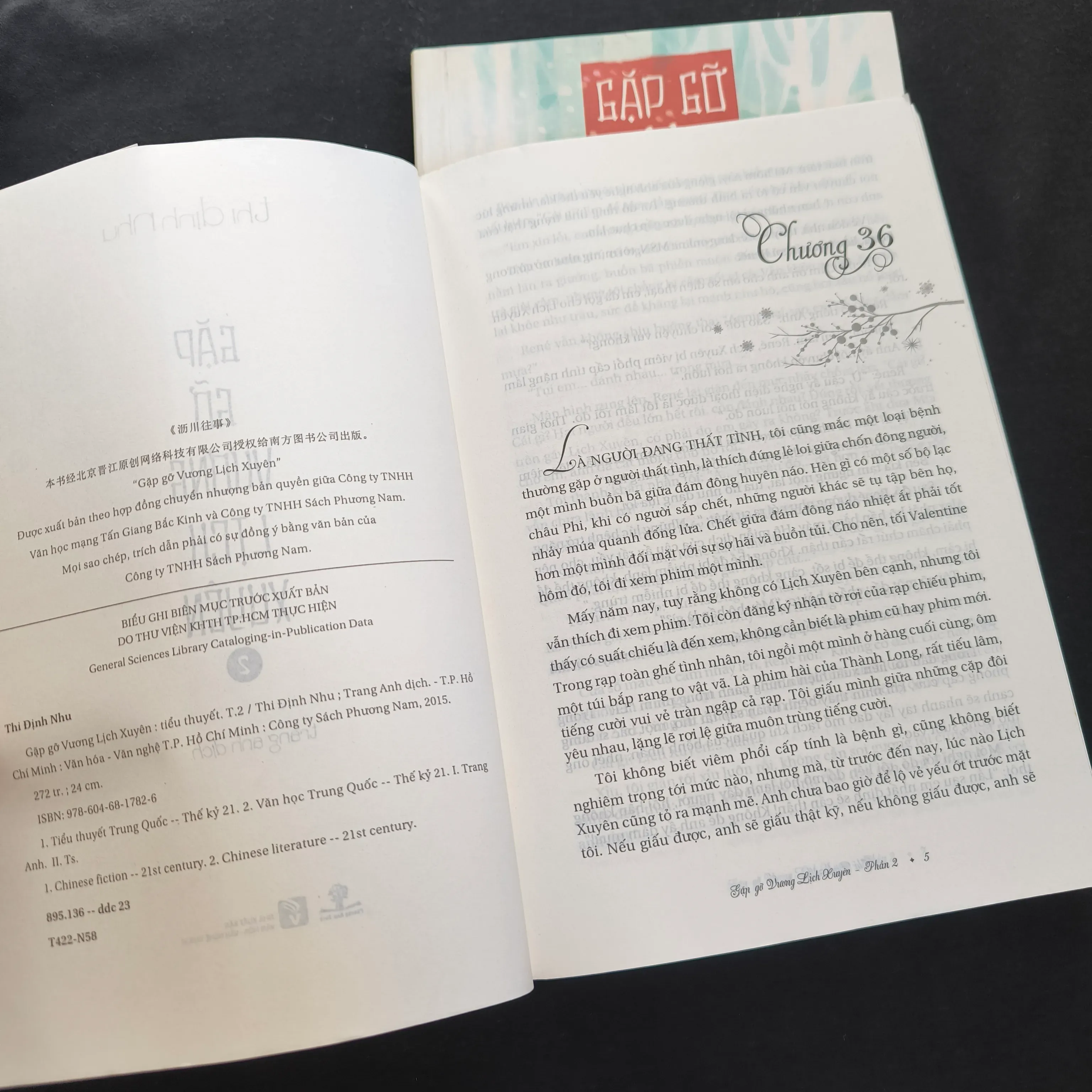 Gặp gỡ Vương Lịch Xuyên (Bộ 2 tập) - Thi Định Nhu 927088