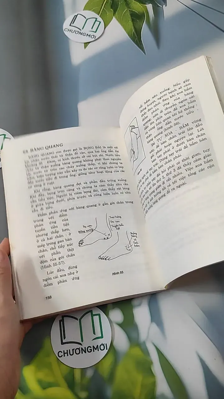 Bấm Huyệt Nơi Bàn Chân - BS. Ngô Văn Quỹ, Trần Văn Thụ 780809