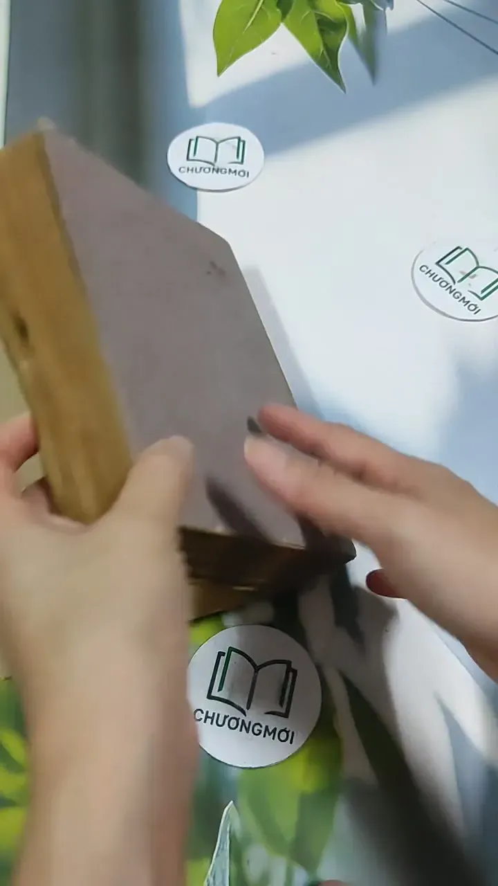 [MIỄN PHÍ BỌC SÁCH] Truyện Kiều - Nguyễn Du 705782